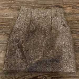 Sparkly skirt